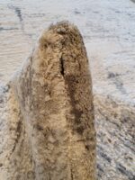 שטיח לאס וגאס דגם 15