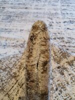 שטיח לאס ווגס 11