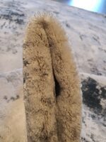 שטיח לאס ווגס דגם 08 (2)