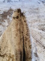 שטיח לאס ווגס דגם 09