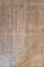 שטיח לאס ווגס דגם 10